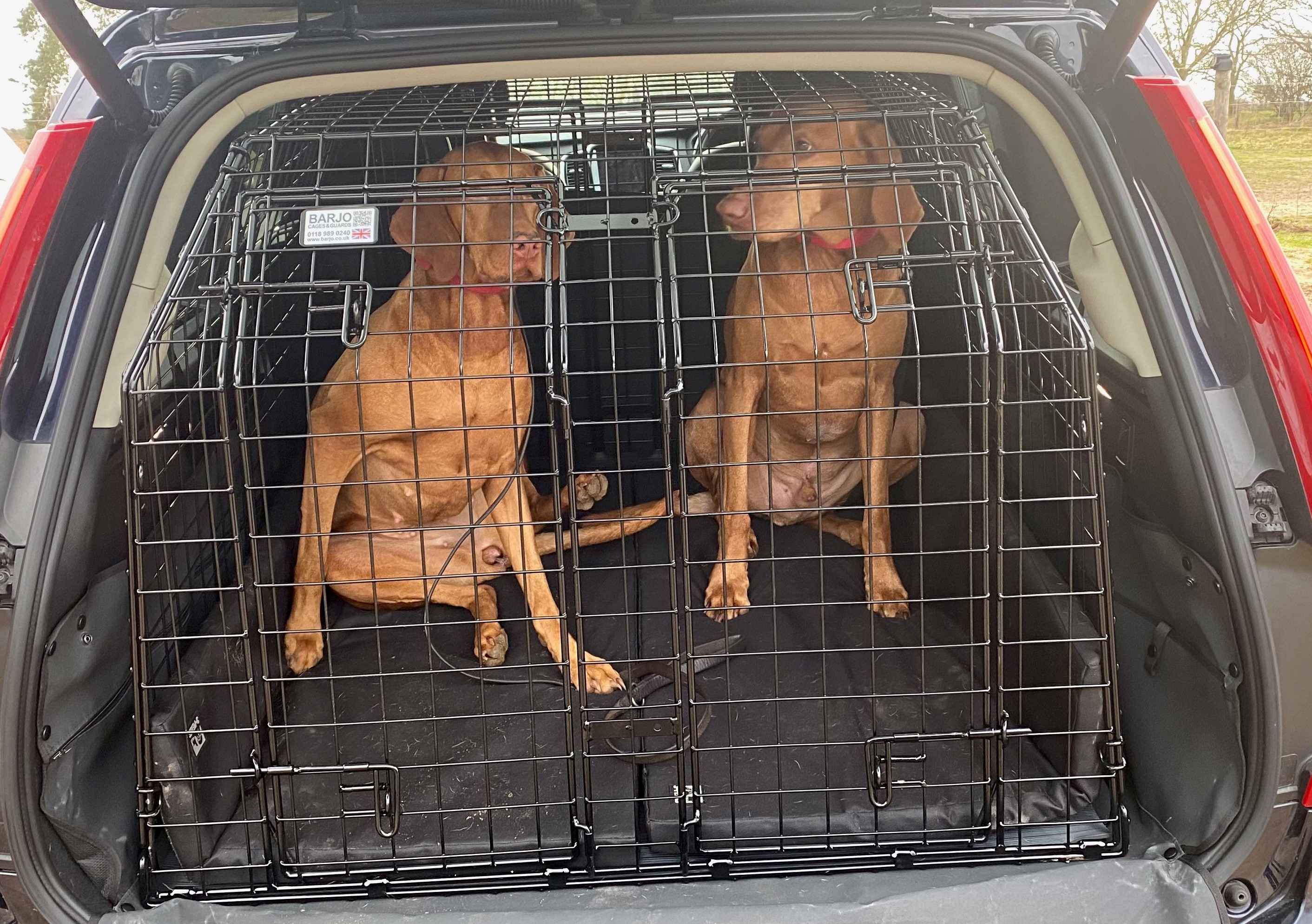 Bespoke Car Cage - Volvo XC90 (2002-2014) 4×4
