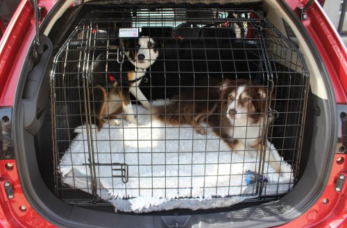 Bespoke Car Cage - Mitsubishi Outlander PHEV 2012- 2021