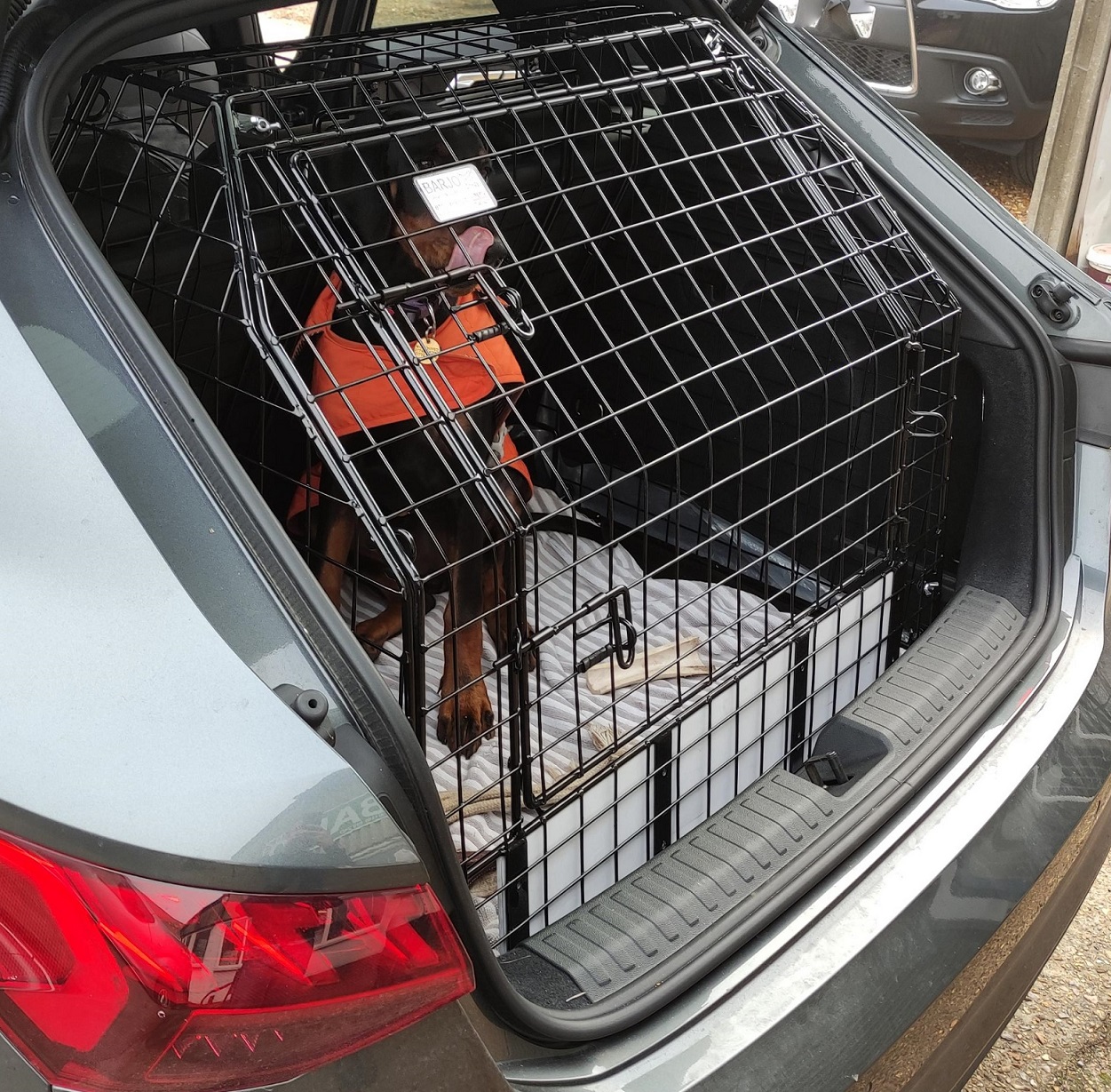Bespoke Car Cage - Audi A3 (1996-2003) Hatchback