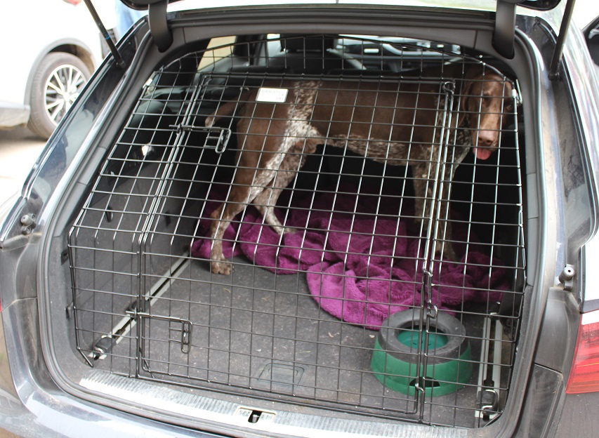 Audi A6 1998-2004 Tailgate.JPG