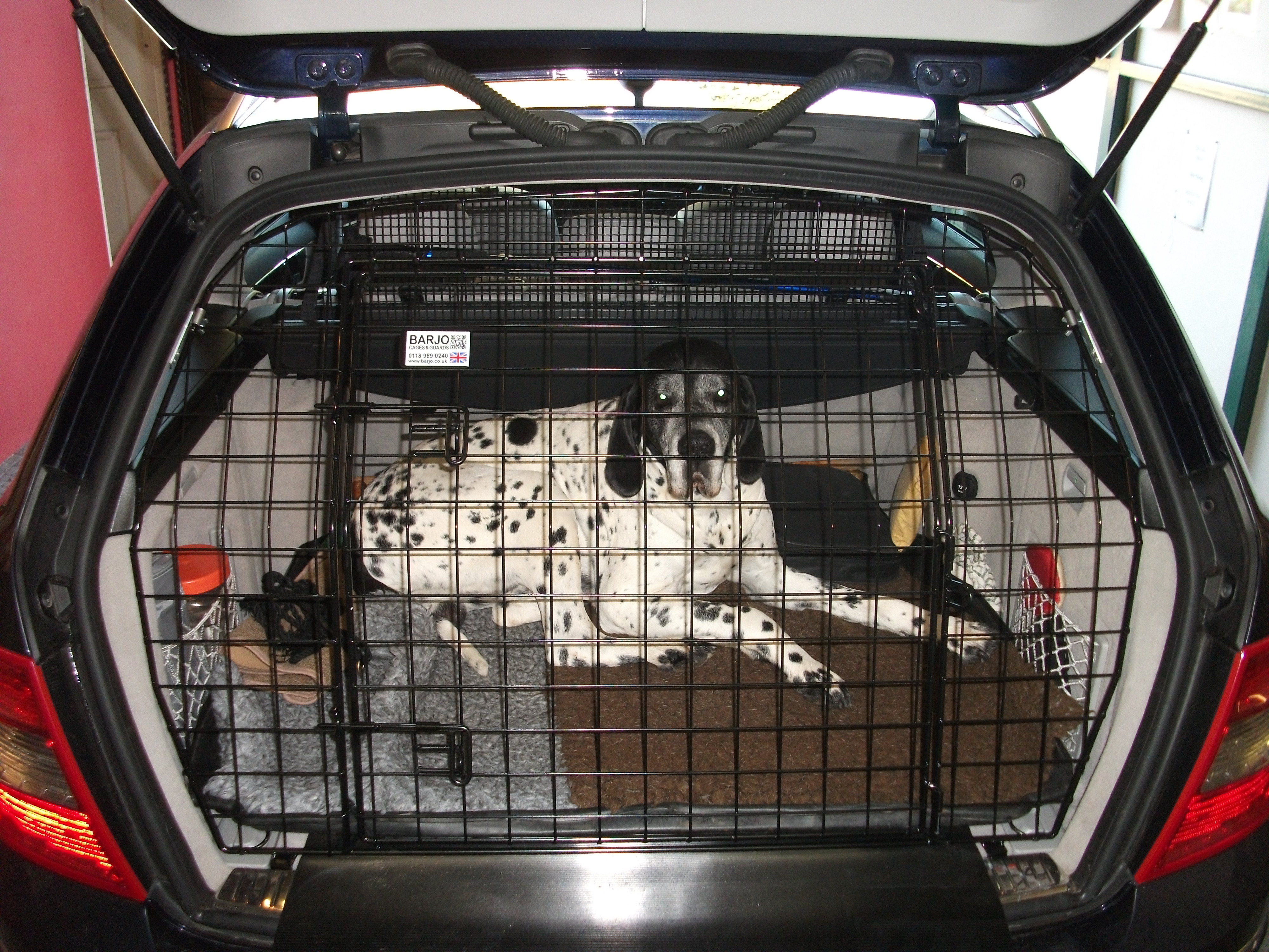 C Class tg with dog.JPG