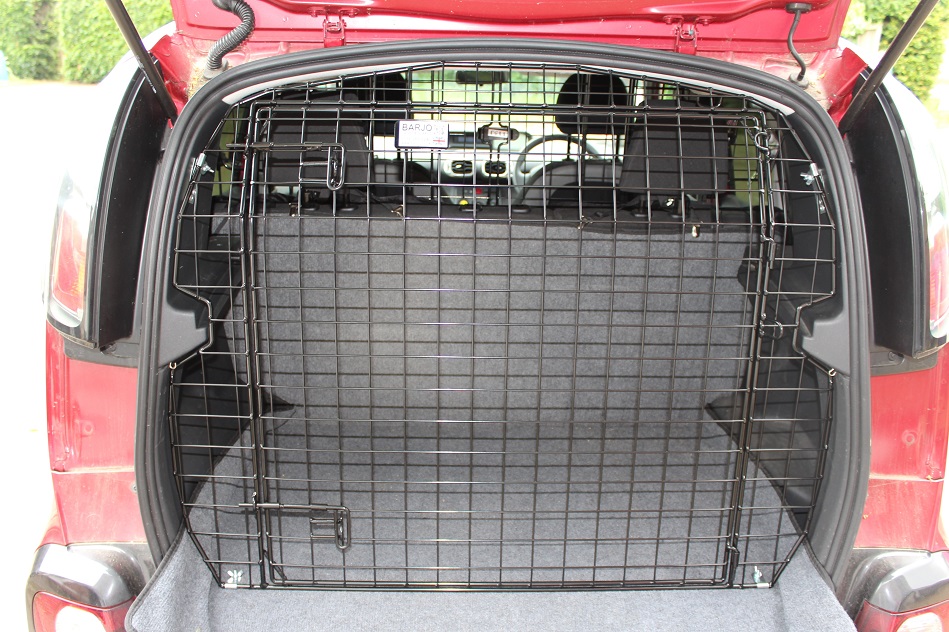 C3 Picasso 2009 ent on TG - Copy.JPG