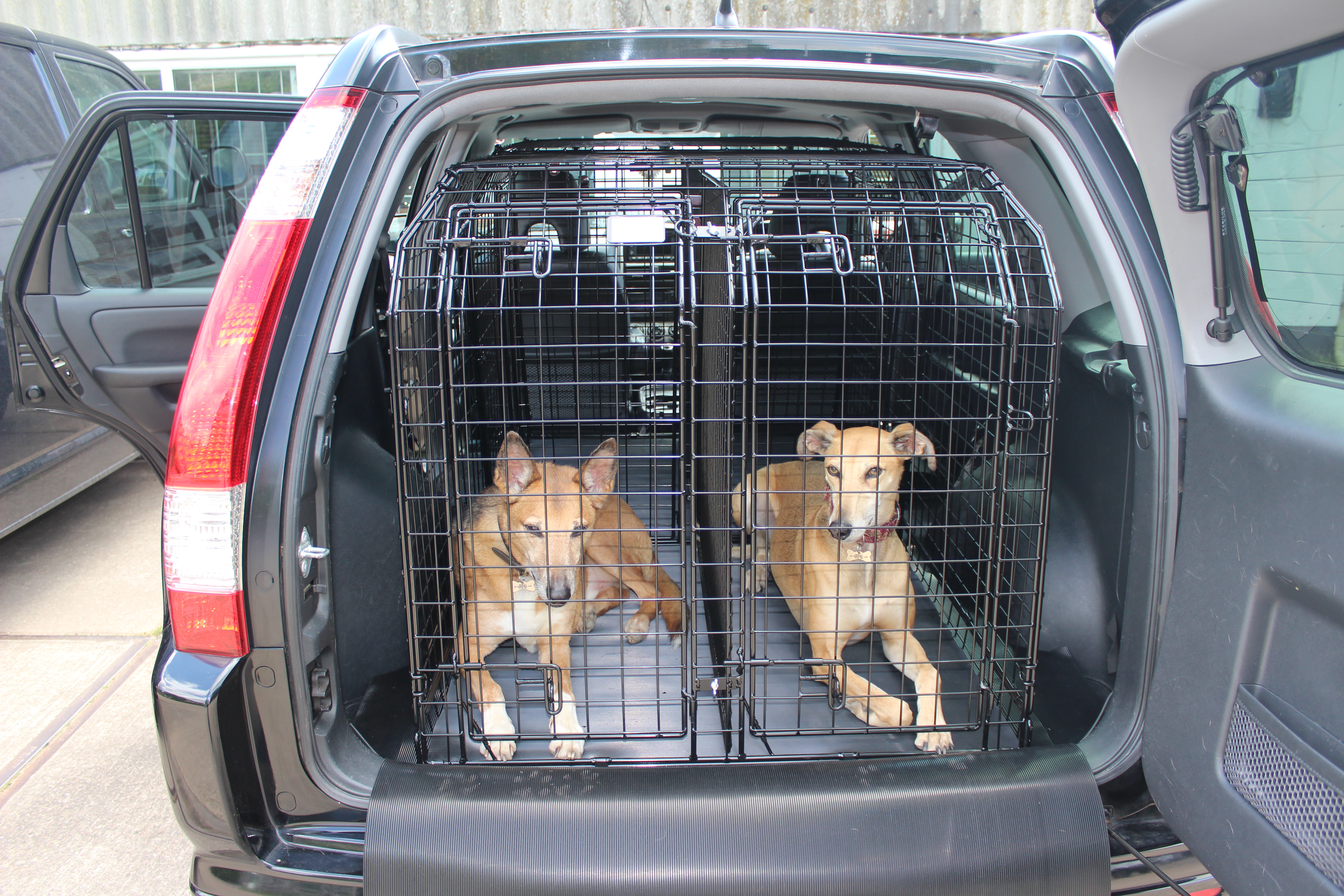 CRV 02-06 Double Cage with dogs 1.JPG