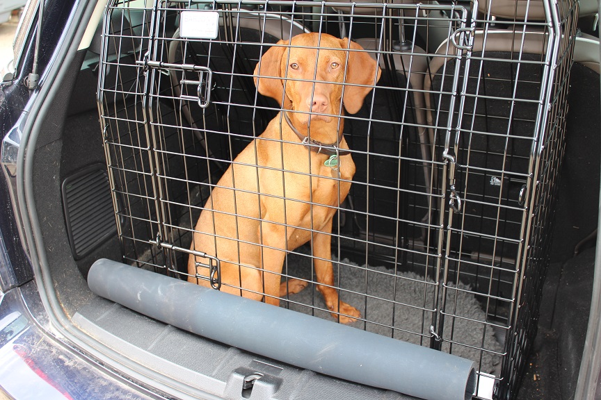 Countryman single cage 1 - Copy.JPG