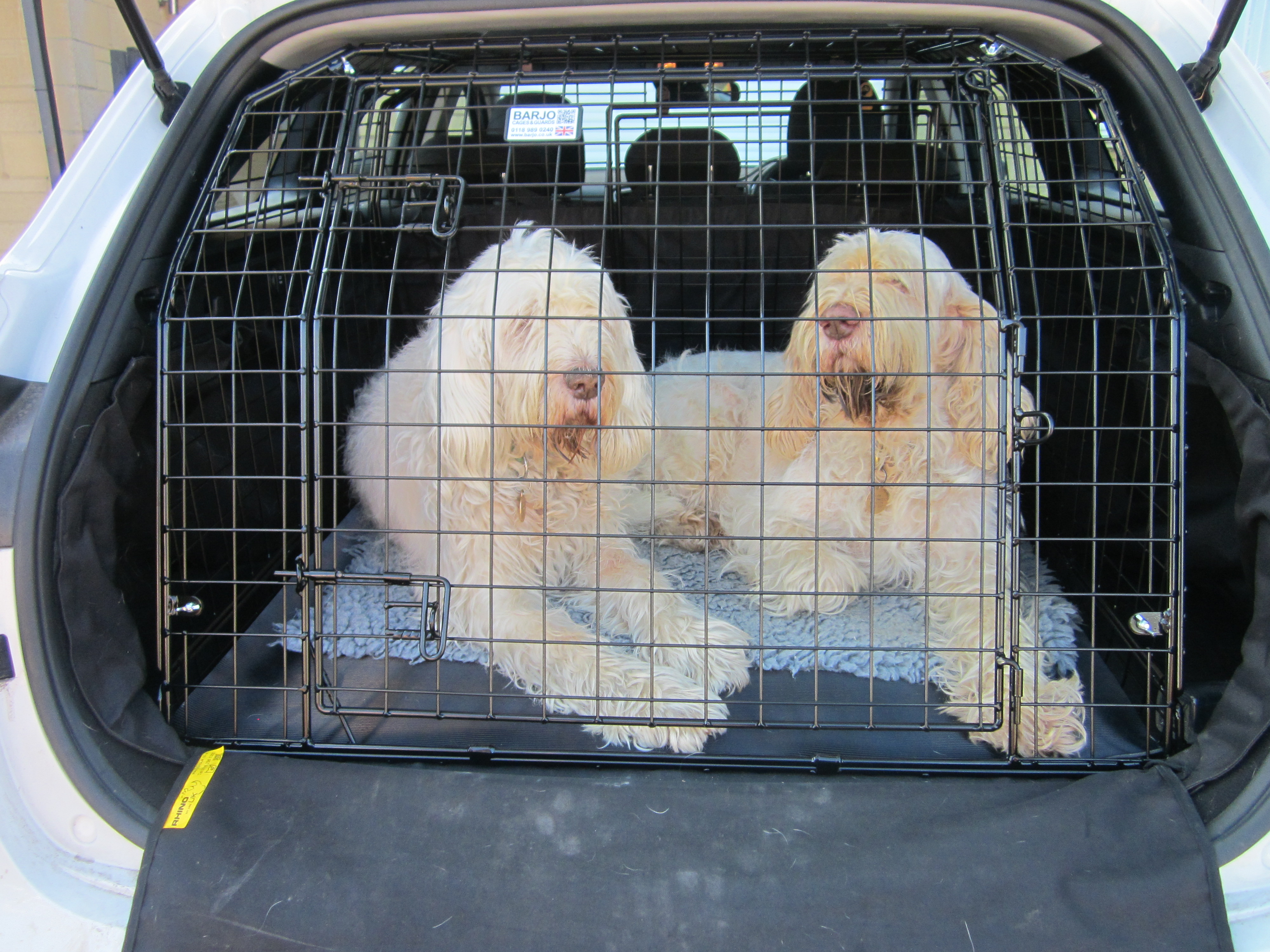 Bespoke Car Cage - Kia Sedona (1999-2006) 4×4