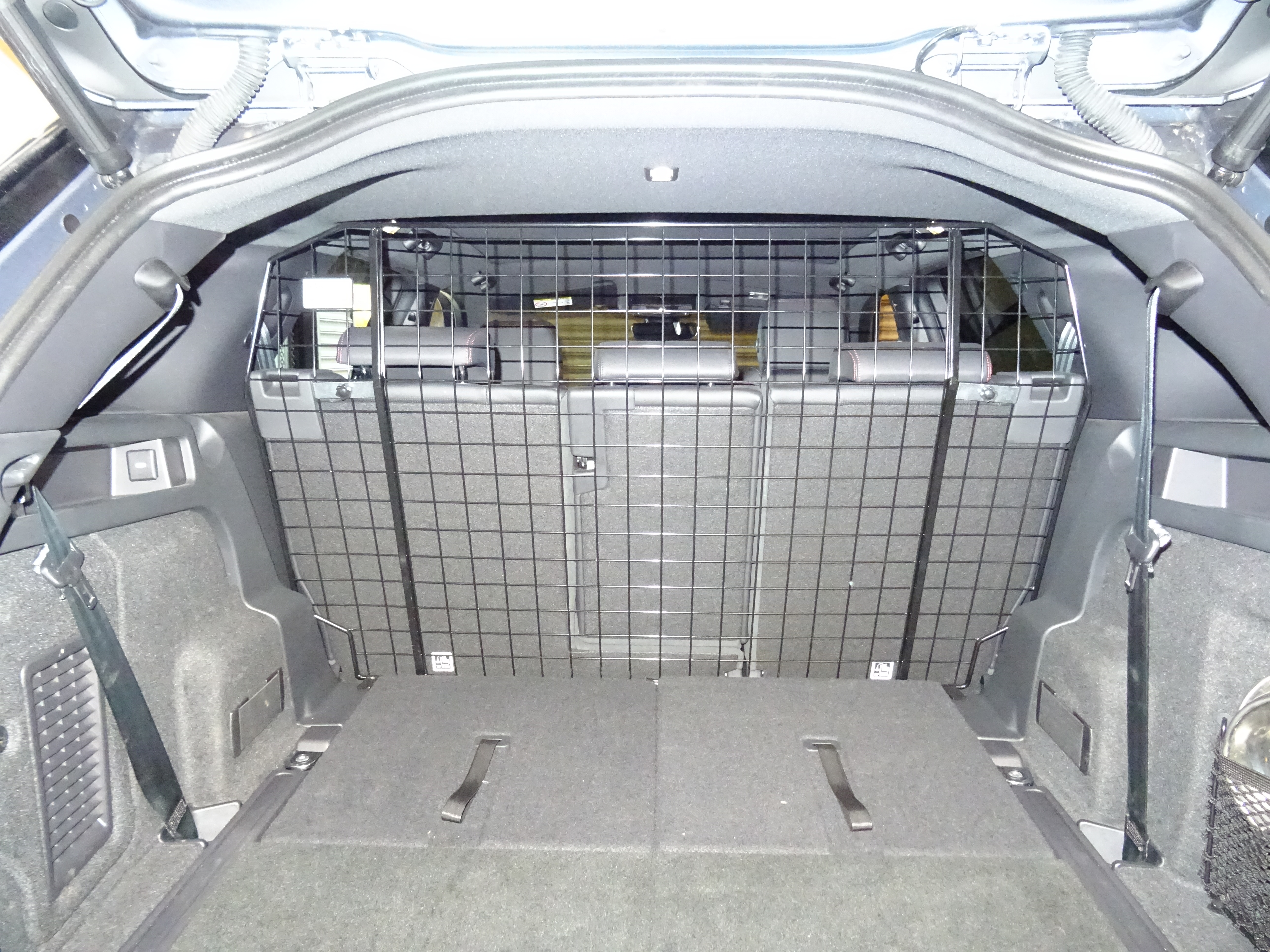 Bespoke Dog Guard - Landrover Discovery Sport 2024 onwards