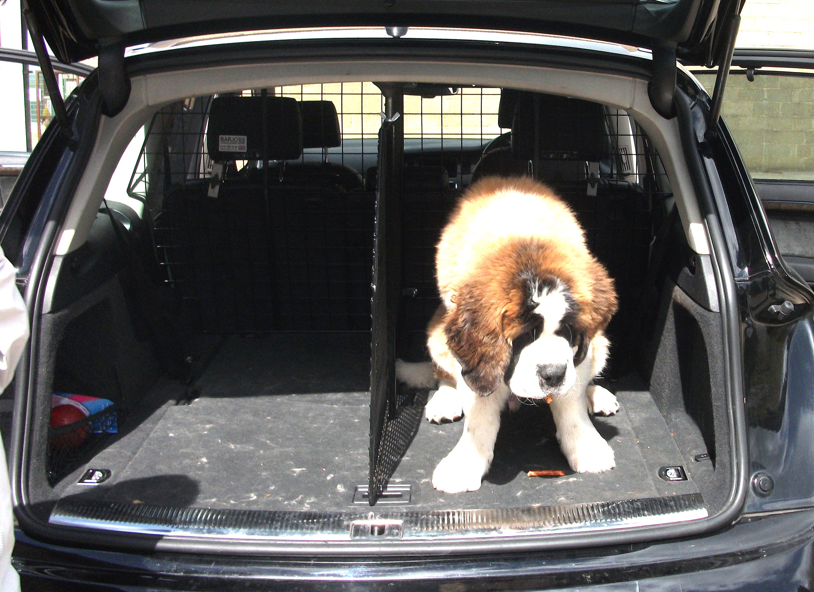 Divider Dog Guard - Audi Q7 (2006-2014) 4×4