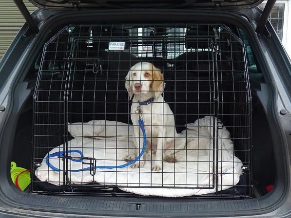 Bespoke Car Cage - Volkswagen Tiguan (2007-2016) 4×4
