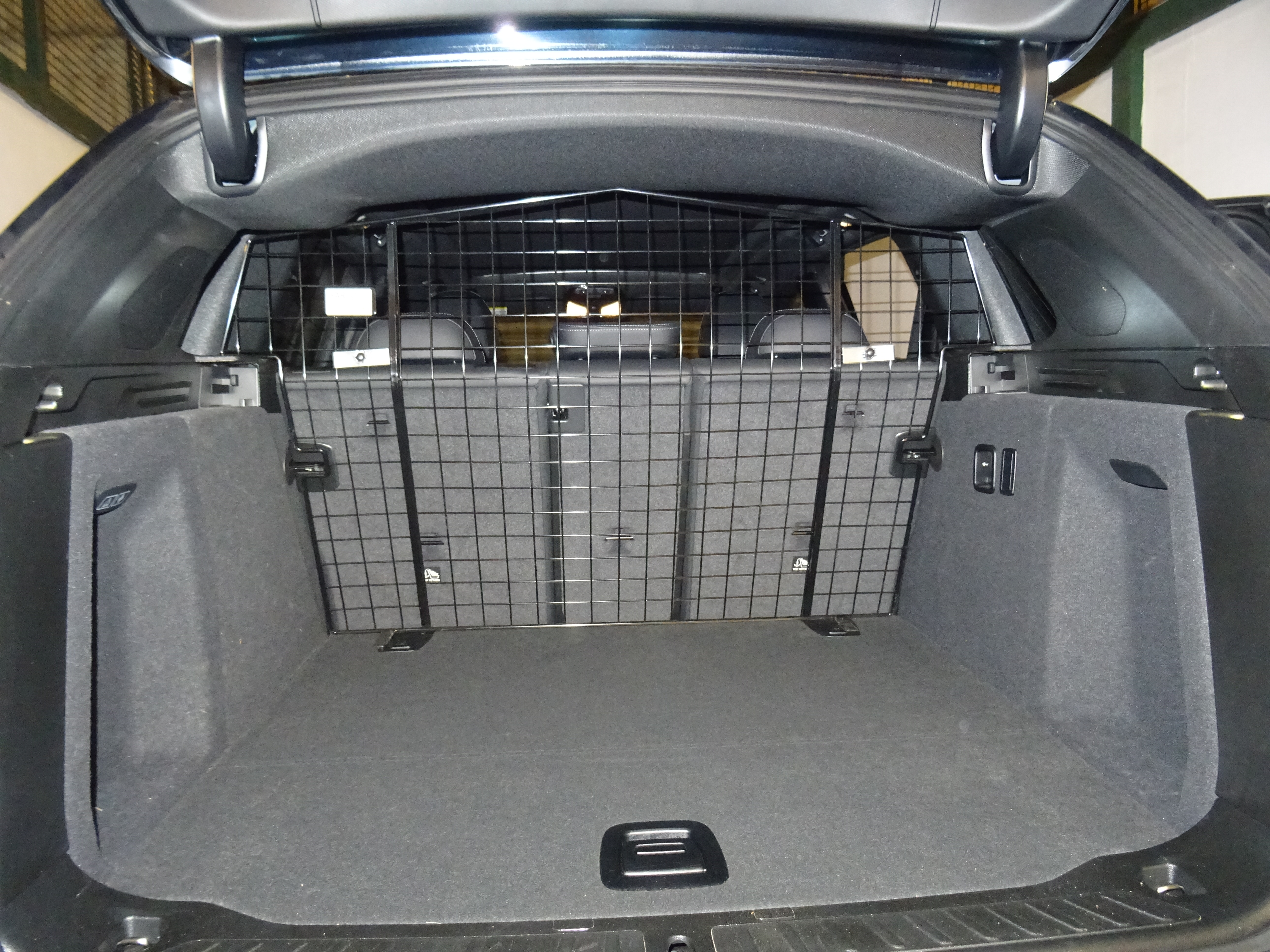 Bespoke Dog Guard - BMW M135i X Drive 2019-2024