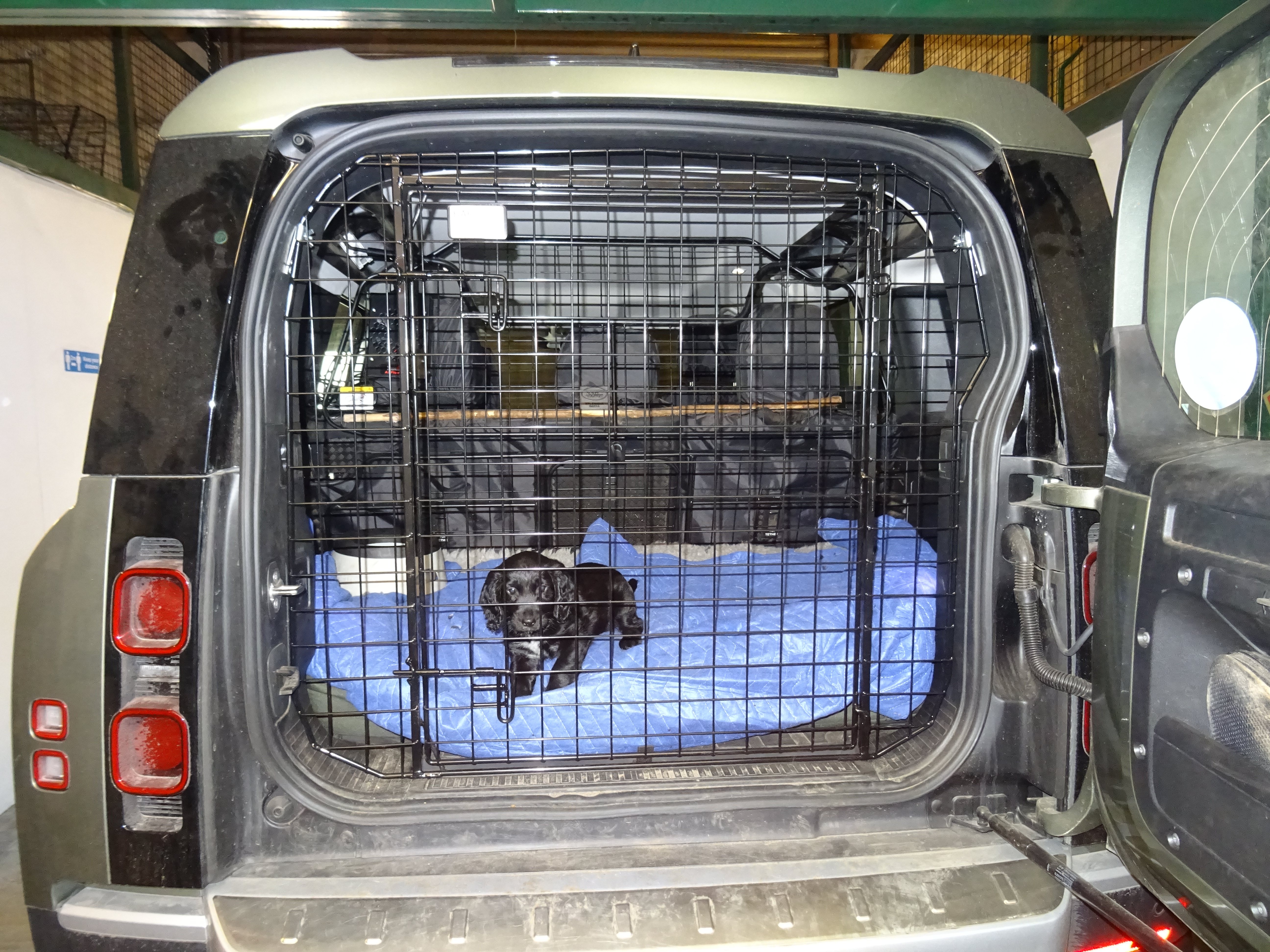 Tailgate Guard - Land Rover Defender 110 2020 onwards 