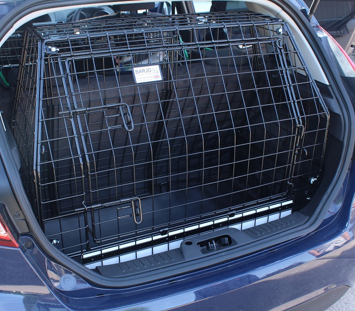 Fiesta hatch examle picture cage.JPG