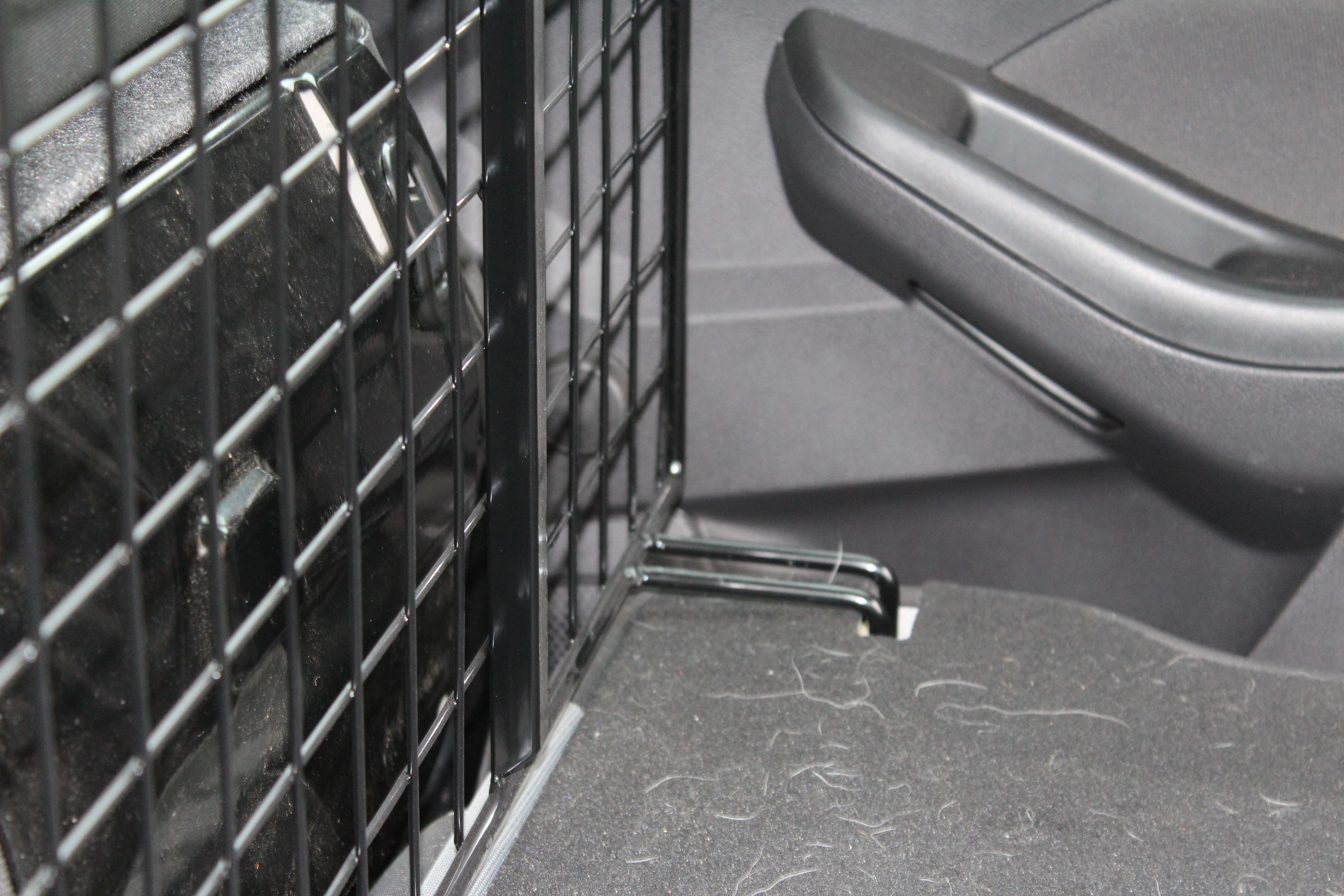 Focus Hatch 10 on FDG Fitting.JPG