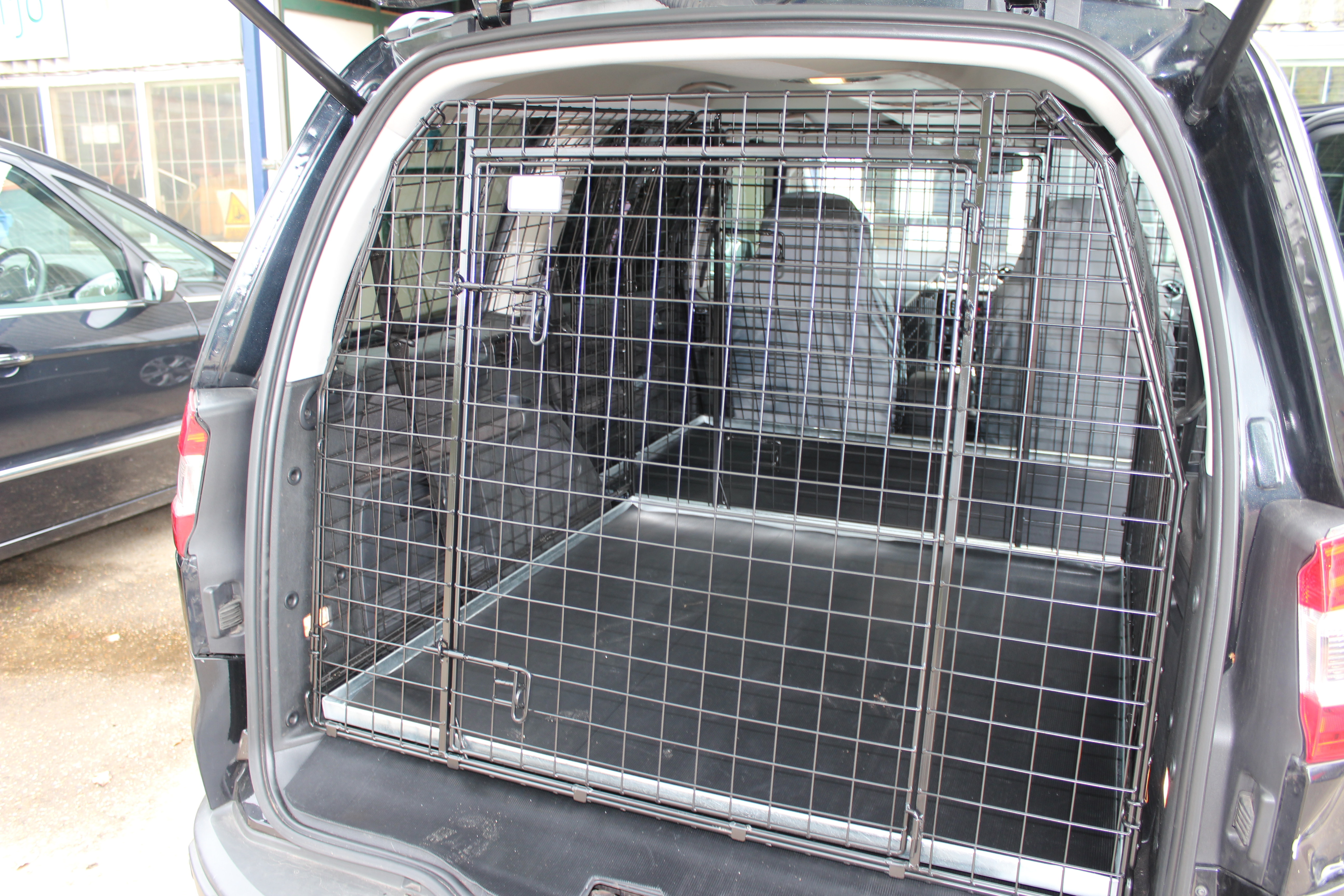 Galx 06 on 2 Cages.JPG
