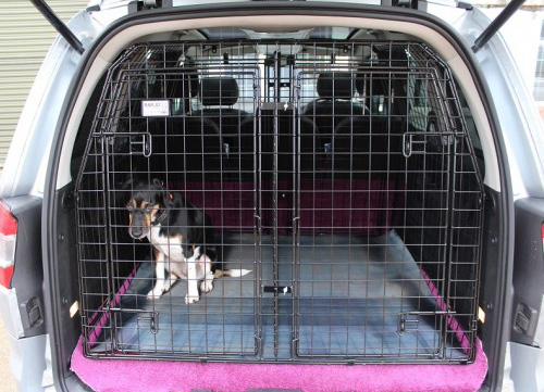Galx 06 on Double Cage - Copy-500x500.jpg