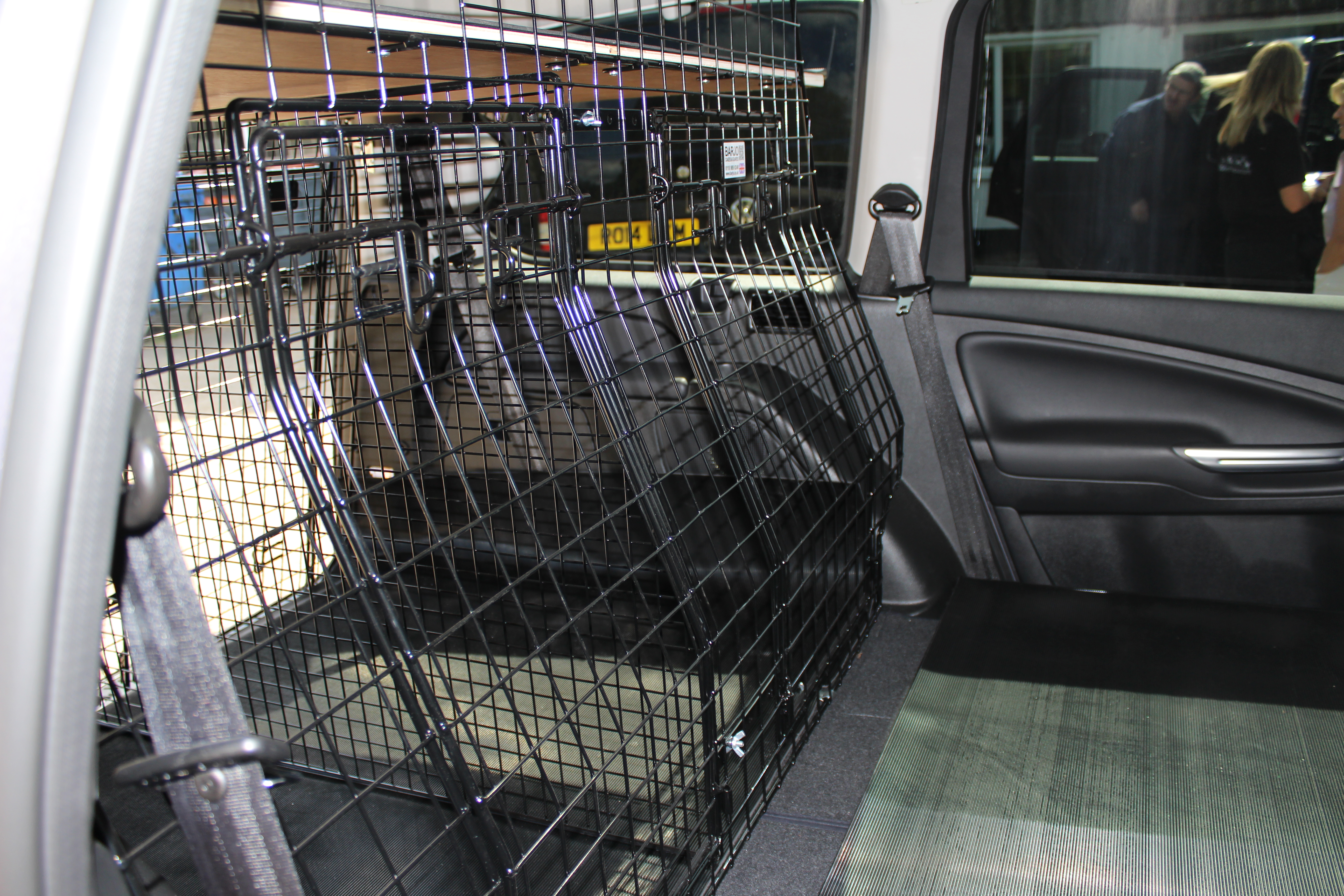 Galx 06 on double cage back view.JPG