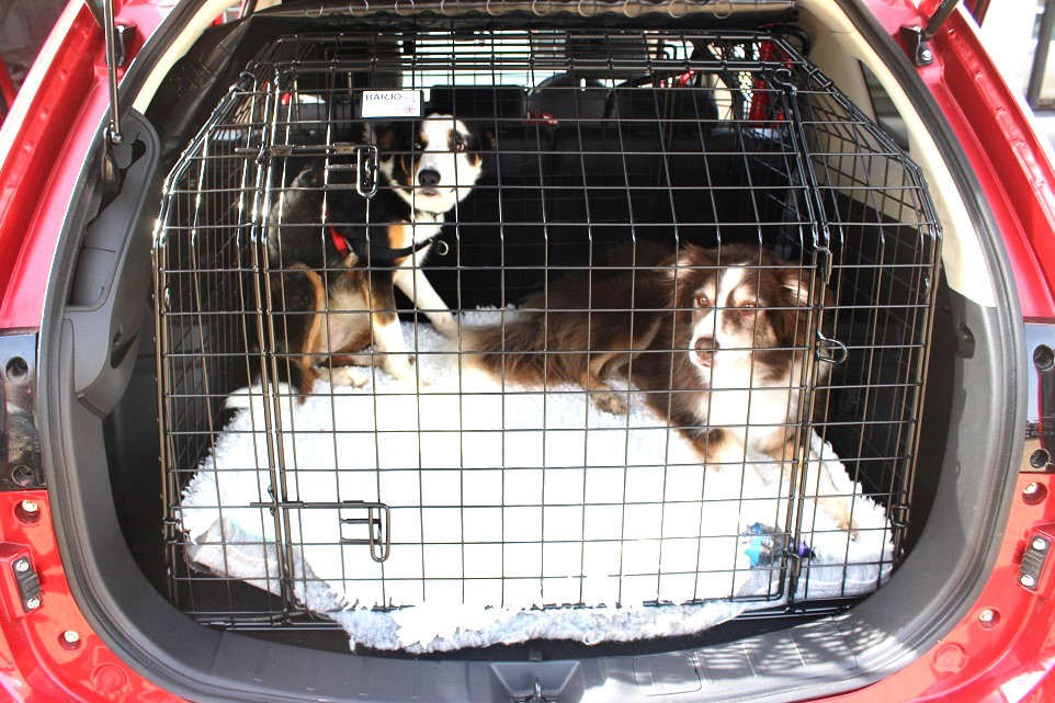 Bespoke Car Cage - Mitsubishi Outlander (2007-2013) 4×4