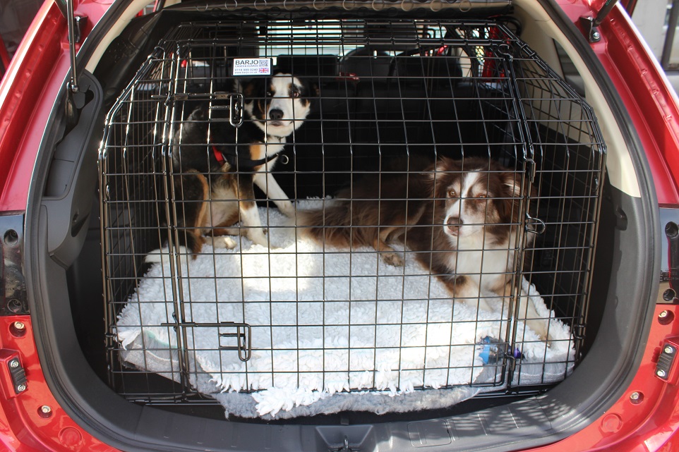 Bespoke Car Cage - Nissan Pathfinder (2005-2014) 4×4