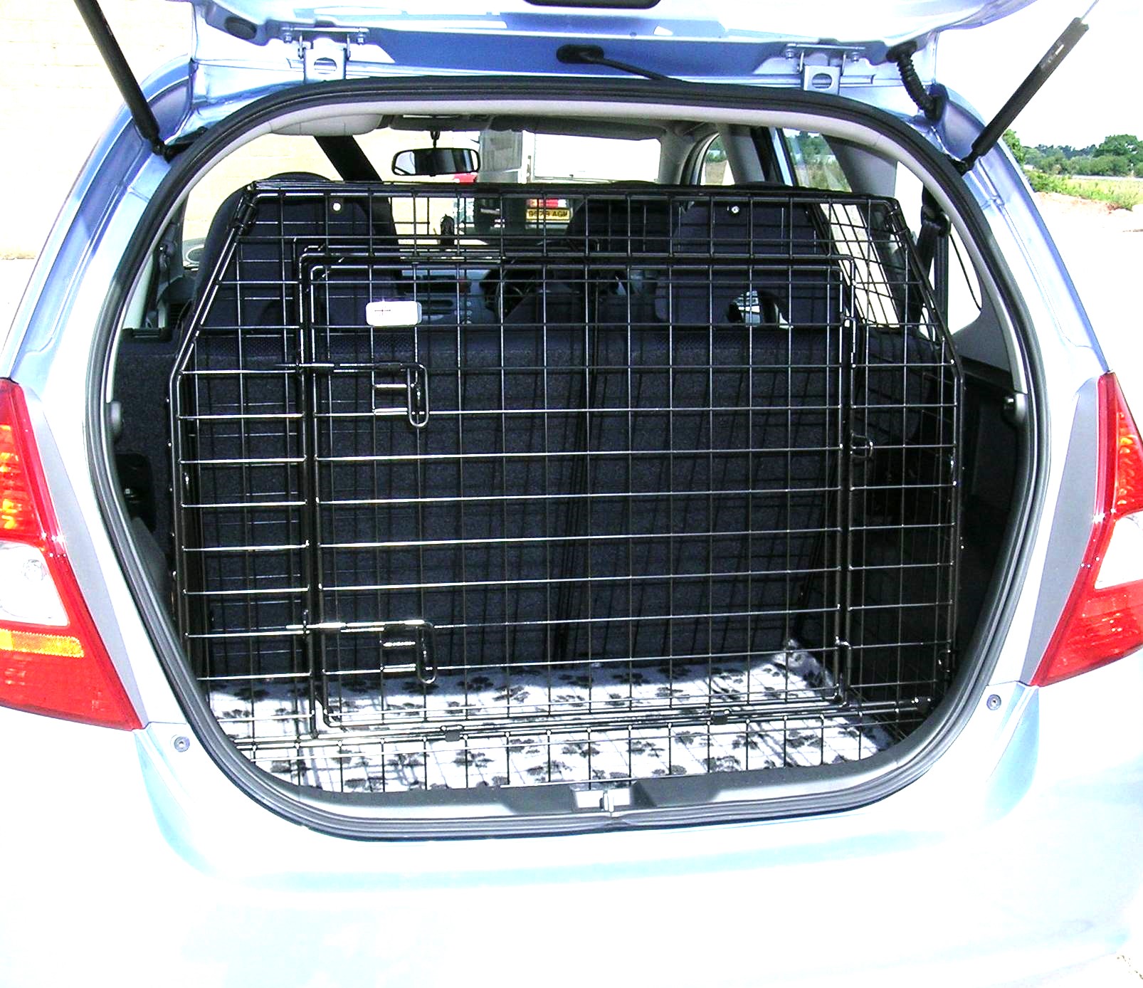 Jazz 02-08 cage copy.jpg