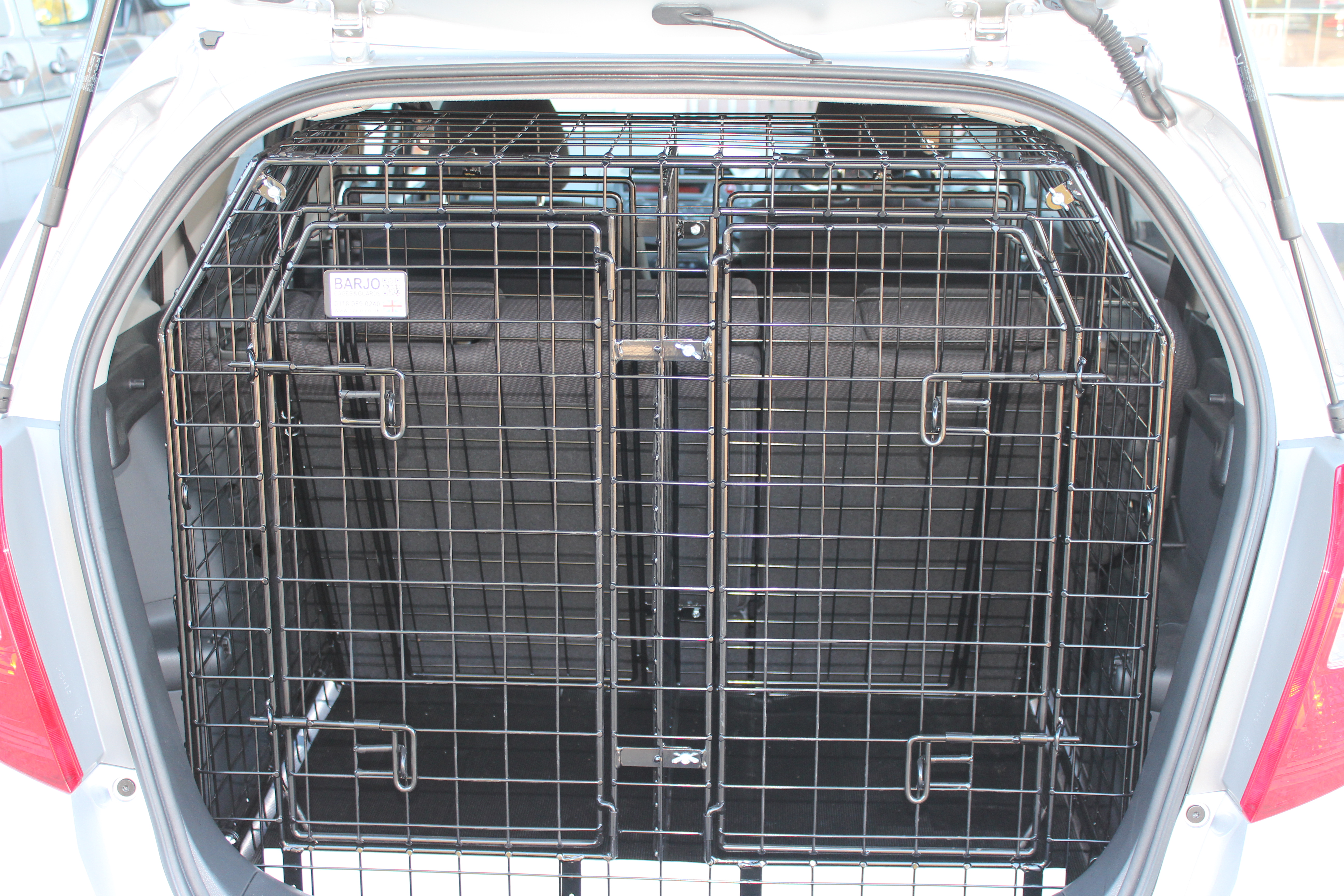 Jazz 08 on Double Cage 1.JPG