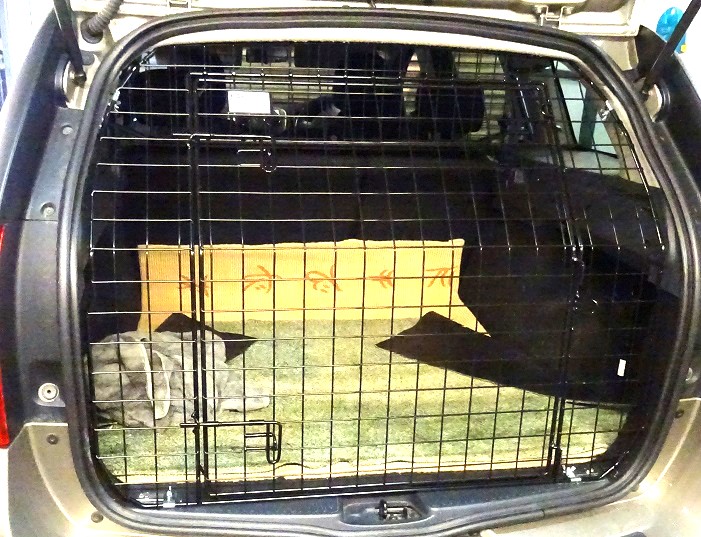 Tailgate Guard - Dacia Logan 2013- 2020