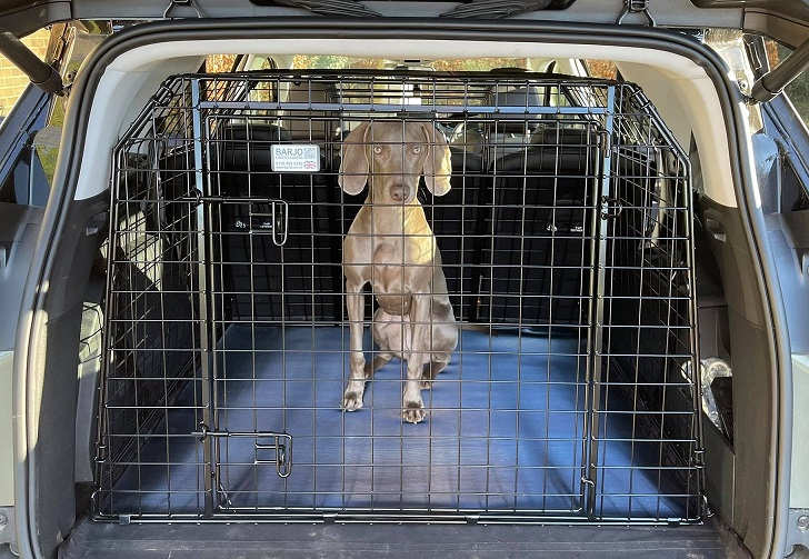 Bespoke Car Cage - Peugeot 5008 (2010-2016) Estate