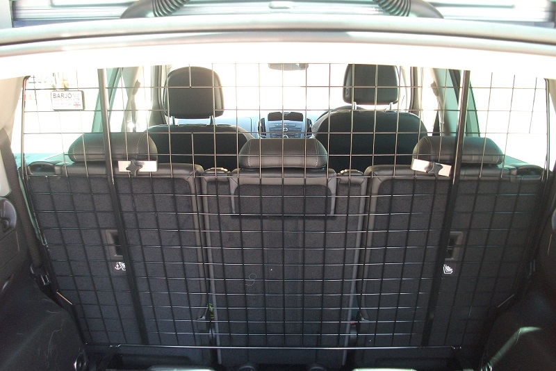 Zafira Tourer DG - Copy.JPG