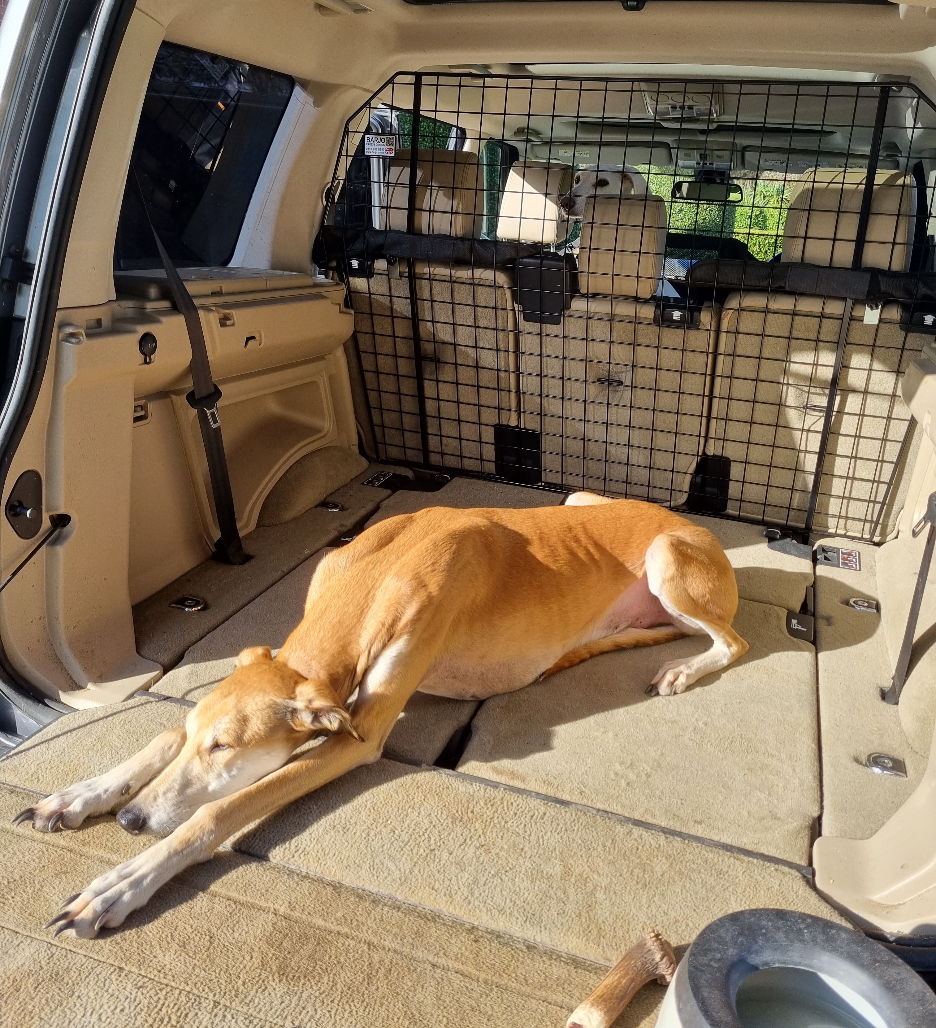 Bespoke Dog Guard - Land Rover Range Rover 2022 onwards (5 seater)