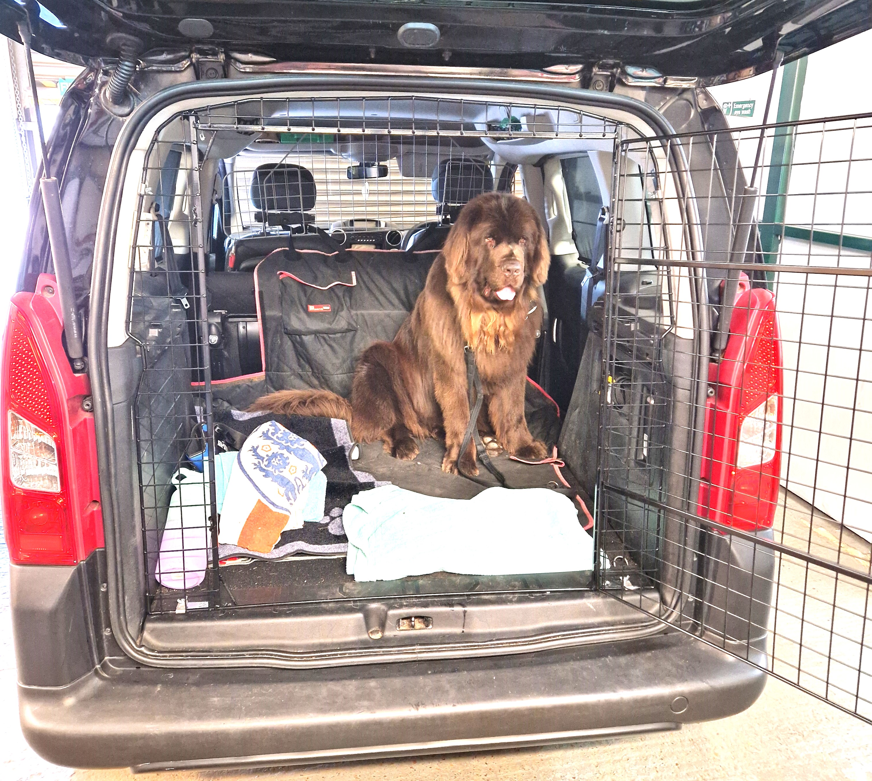 copy 2.jpg