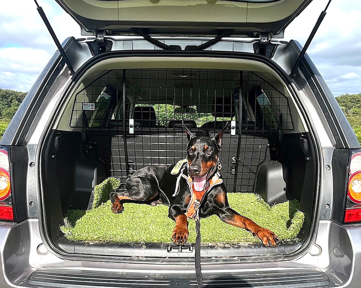 Bespoke Dog Guard - Audi A6 E-Hybrid 2025 onwards