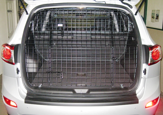 hyundai santafe.JPG