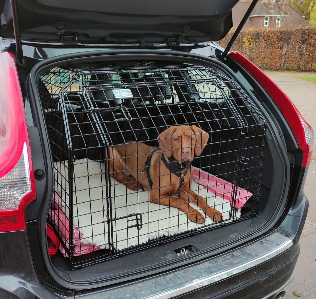 Bespoke Car Cage - Volvo V70/XC70 (2000-2007) Estate
