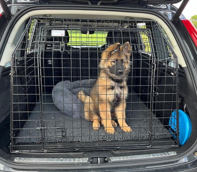 Bespoke Car Cage (Crate) - Volvo XC90 2015-2024