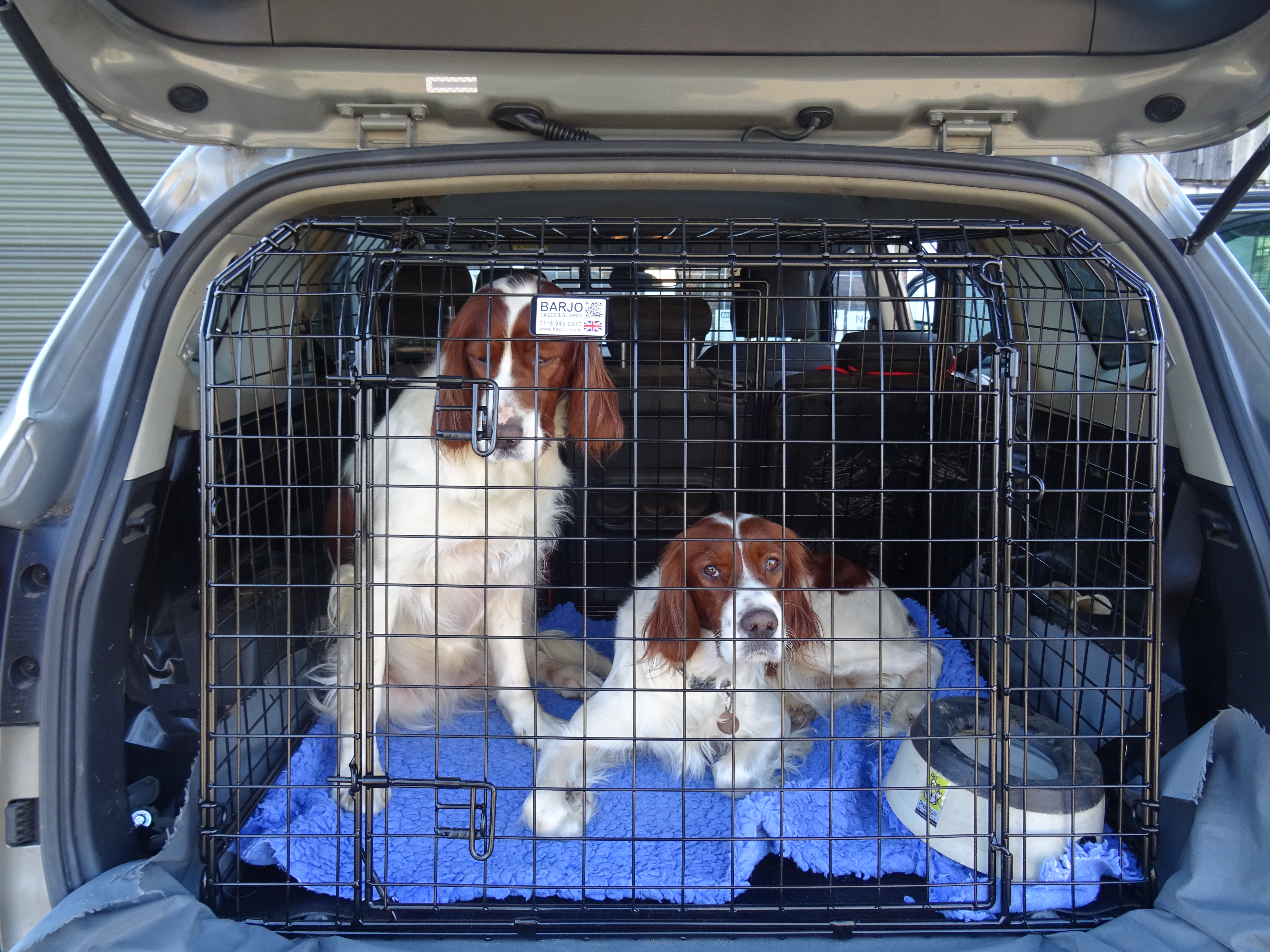 Bespoke Car Cage - Kia Carens (2006-2011) Estate