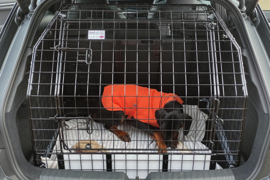 Bespoke Car Crate ( Cage) Audi A3 Sportback 2020> Barjo