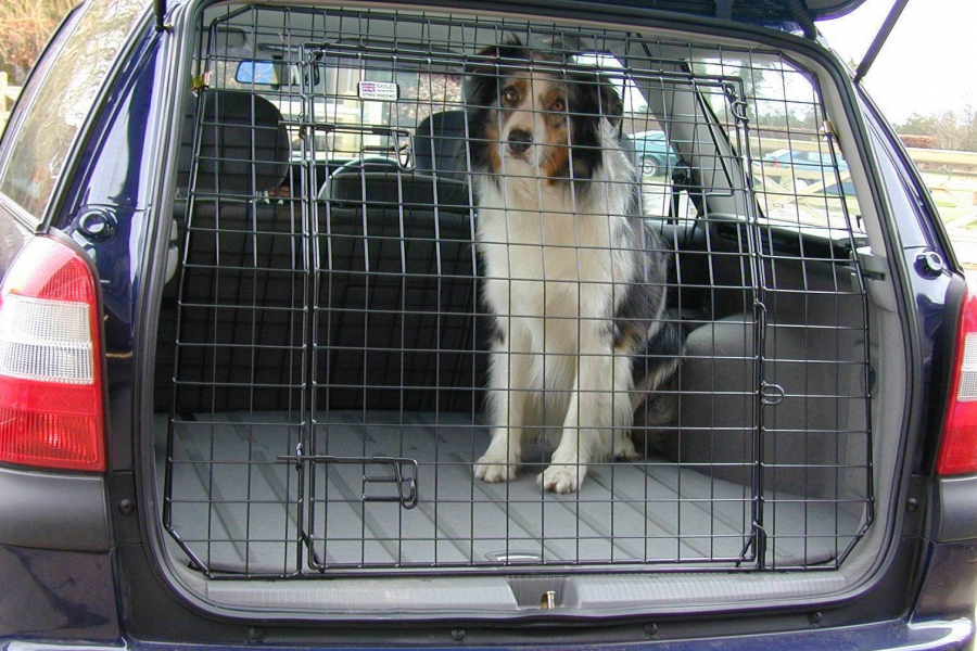 astra dog guard