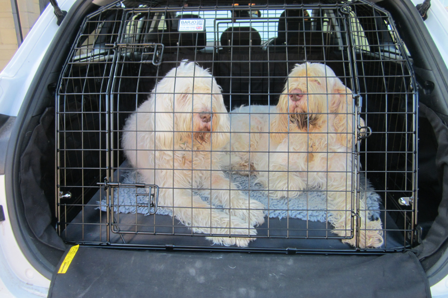 Bespoke Car Crate Kia Sportage 2022> Barjo