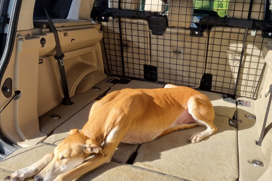 Tailgate Guard Land Rover Discovery Dog Cage Travall Tailgate Tail